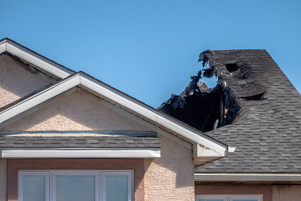 Top rated local Firefighting Water Removal specialists in Webster, MN